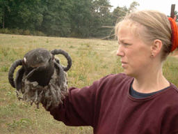 größer